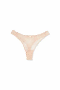 Stringi